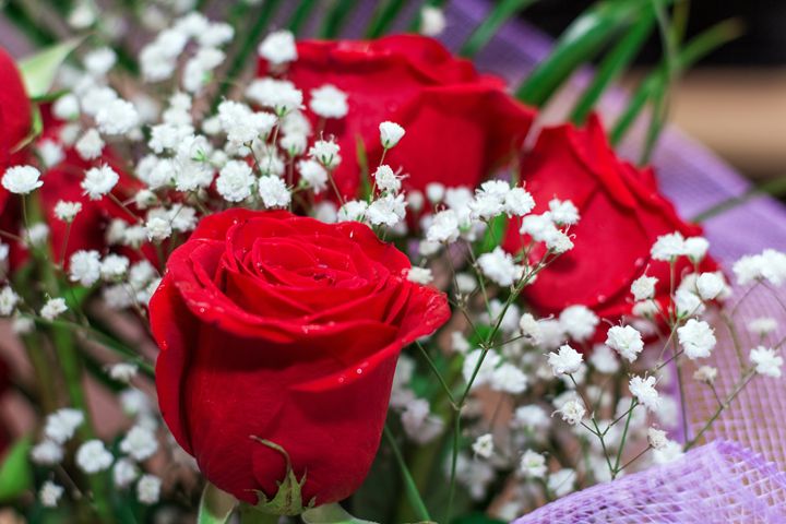 bouquet of red roses - Igor Koshliaev