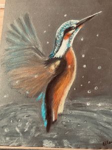 Kingfisher in action - Ellen Nicholls WA Artist