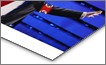 Metal Print