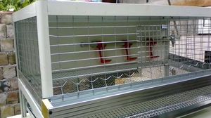 Aluminum cage for quail.