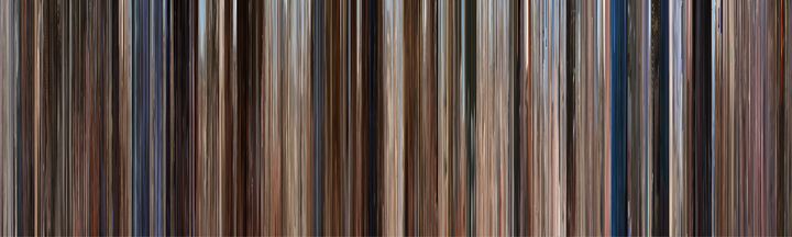 Holes (2003) - Color of Cinema