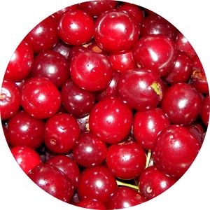 Fruits vegetables and berries in the