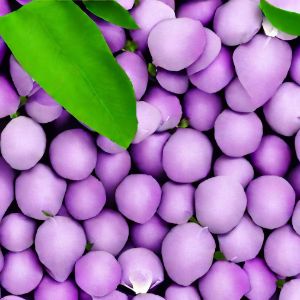 Lilac color walpapper for design