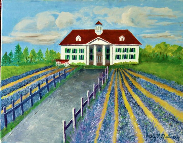 Lavender Fields in WA - JNelsonGallery