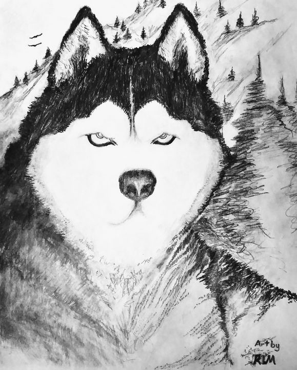 Buy Husky Pencil Drawing Online In India  Etsy India