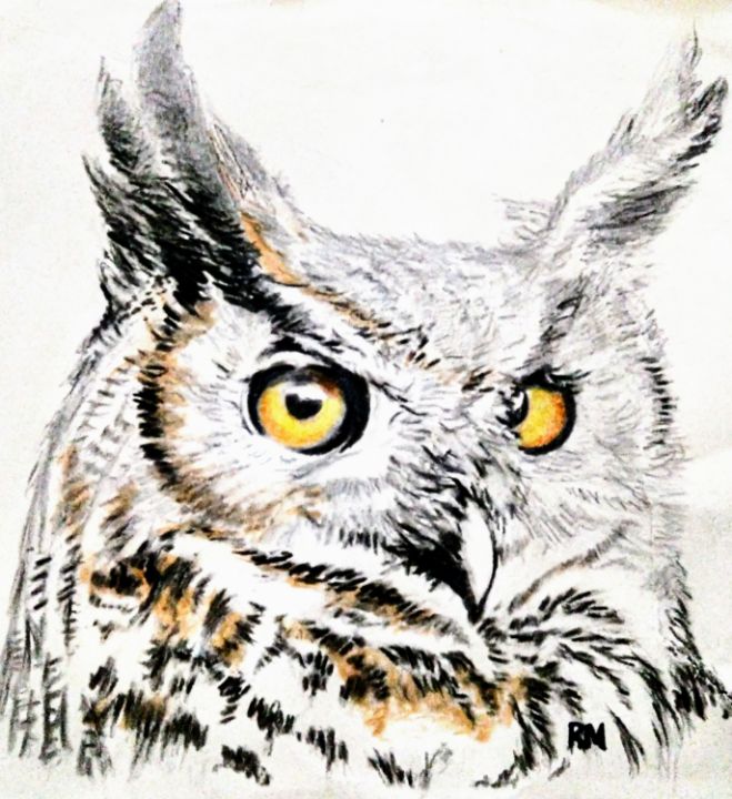 Great Horned Owl In The Snow - Robert Martin - Drawings & Illustration ...