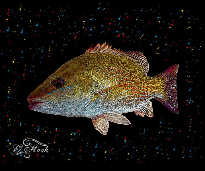 16x20 Mangrove Snapper - Digitaku Designs by G-Hook Images - Digital Art,  Animals, Birds, & Fish, Aquatic Life, Fish, Saltwater Fish - ArtPal