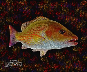 16x20 Mangrove Snapper - Digitaku Designs by G-Hook Images - Digital Art,  Animals, Birds, & Fish, Aquatic Life, Fish, Saltwater Fish - ArtPal