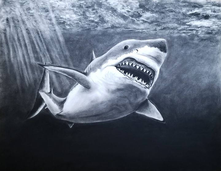 Majestic Shark - Haley R. Art