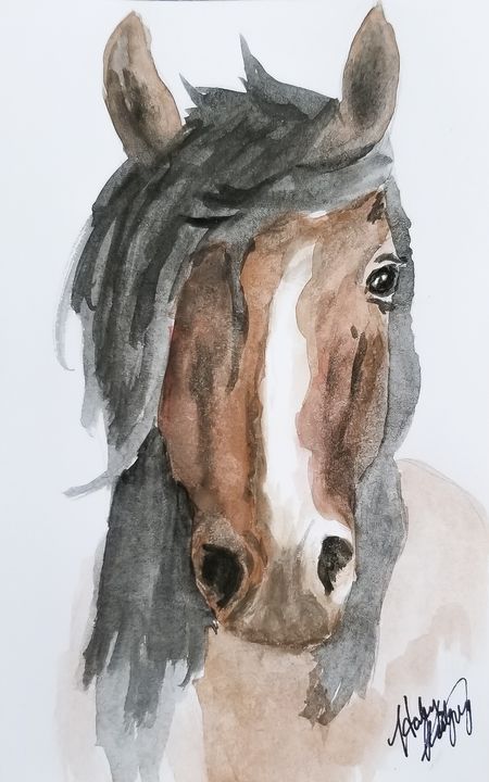 Wild Mustang Horse - Haley R. Art