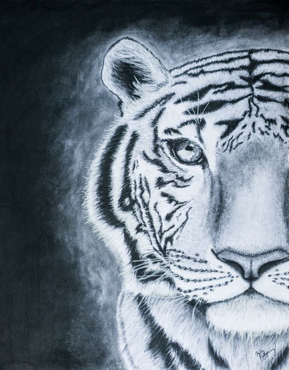 Tiger Stare - Haley R. Art