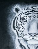 Original Charcoal of tiger