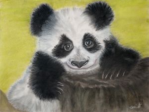 Nap - dessinateur777 - Drawings & Illustration, Animals, Birds, & Fish,  Bears, Panda - ArtPal