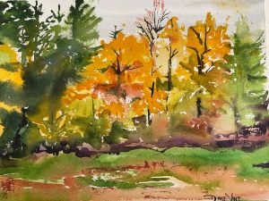 Panther Creek backyard