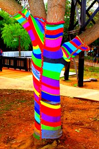 Sock Tree in Old Poway Park