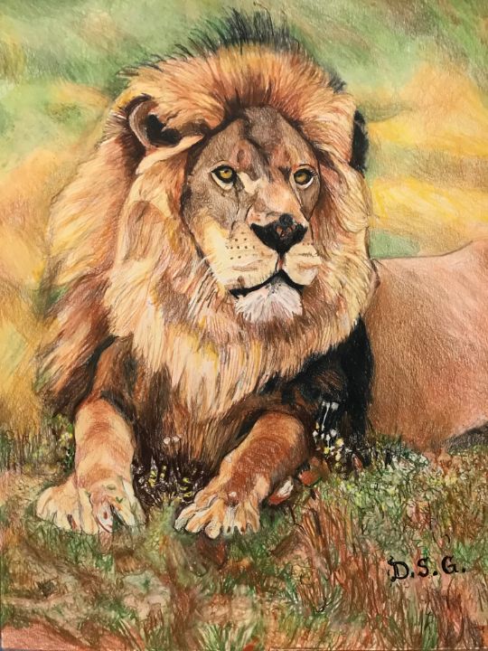 Lion Lying in a Meadow - The Art of Dave Shetsky - Drawings ...