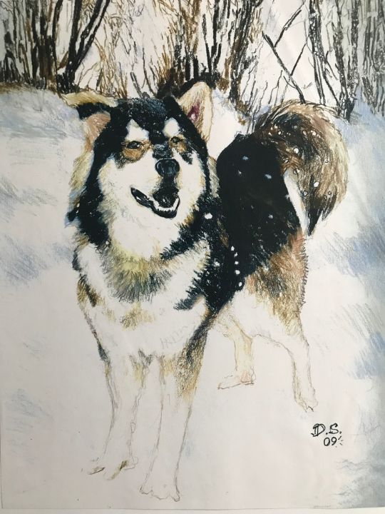 Snow Dog - The Art of Dave Shetsky - Drawings & Illustration, Animals ...