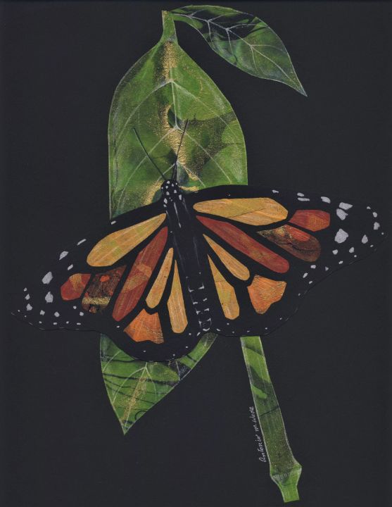 Butterfly And Leaf - Antonio's Artwork - Paintings & Prints, Animals,  Birds, & Fish, Bugs & Insects, Butterflies & Moths - ArtPal