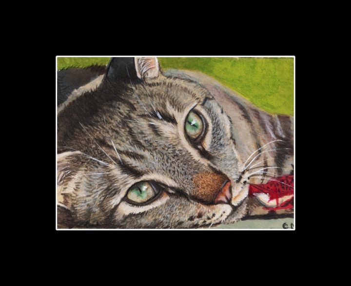 aceo"grey tabby cat with green eyes" - nadiasart